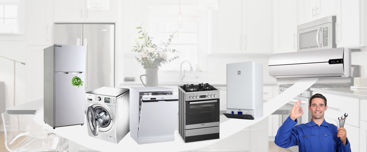 Yapraklı Grundig Servisi